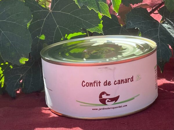 Confit de canard - 17€