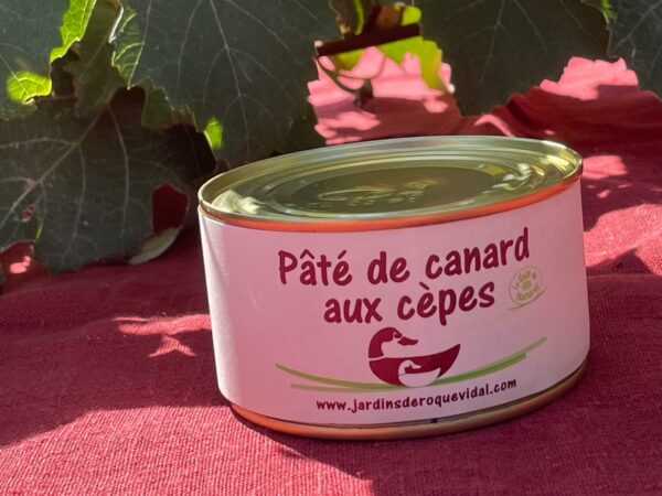 Pâté de canard aux cèpes - 6 €50
